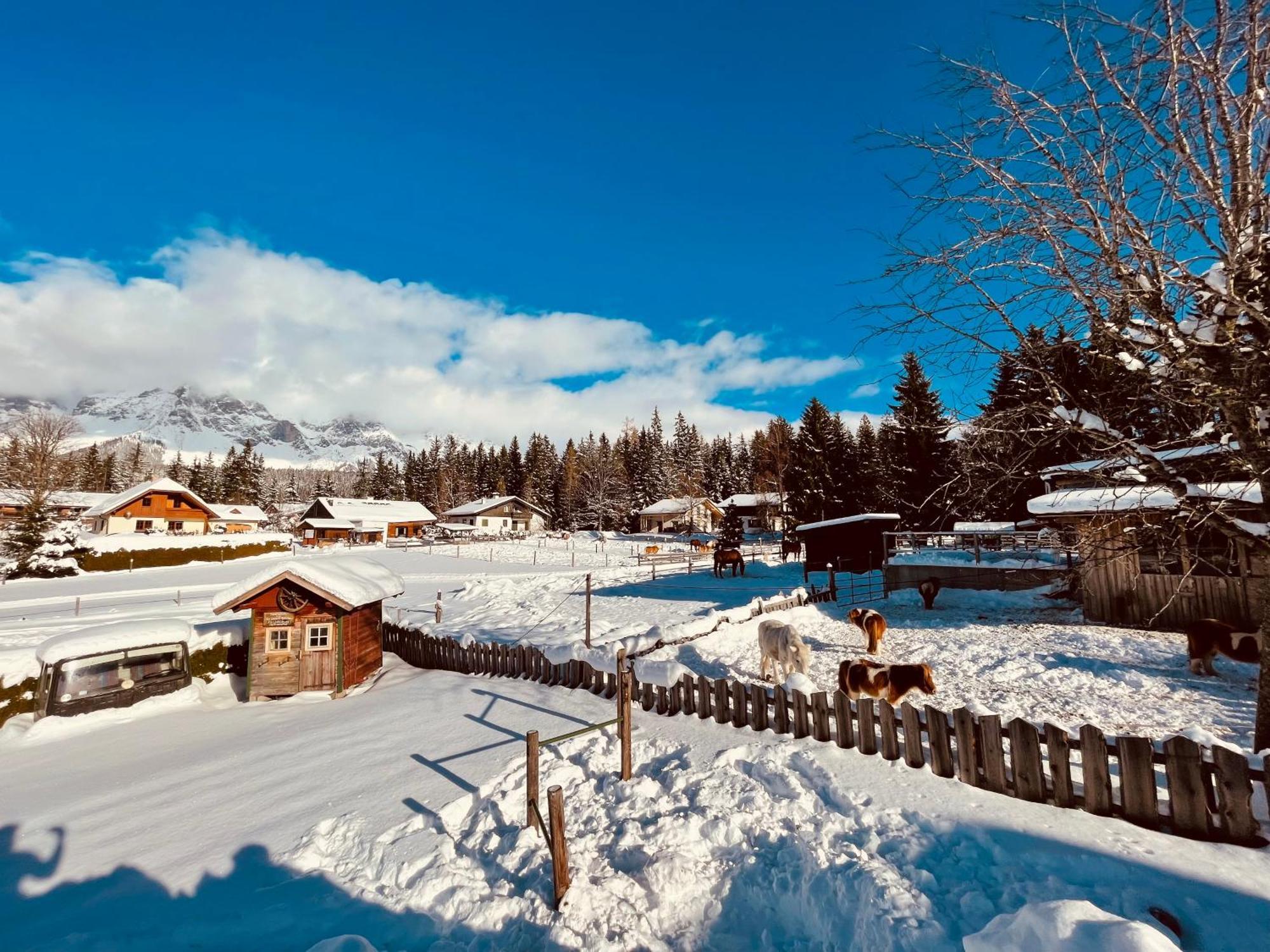 Pension Vorberghof- Bauernhofurlaub Ramsau am Dachstein Bagian luar foto
