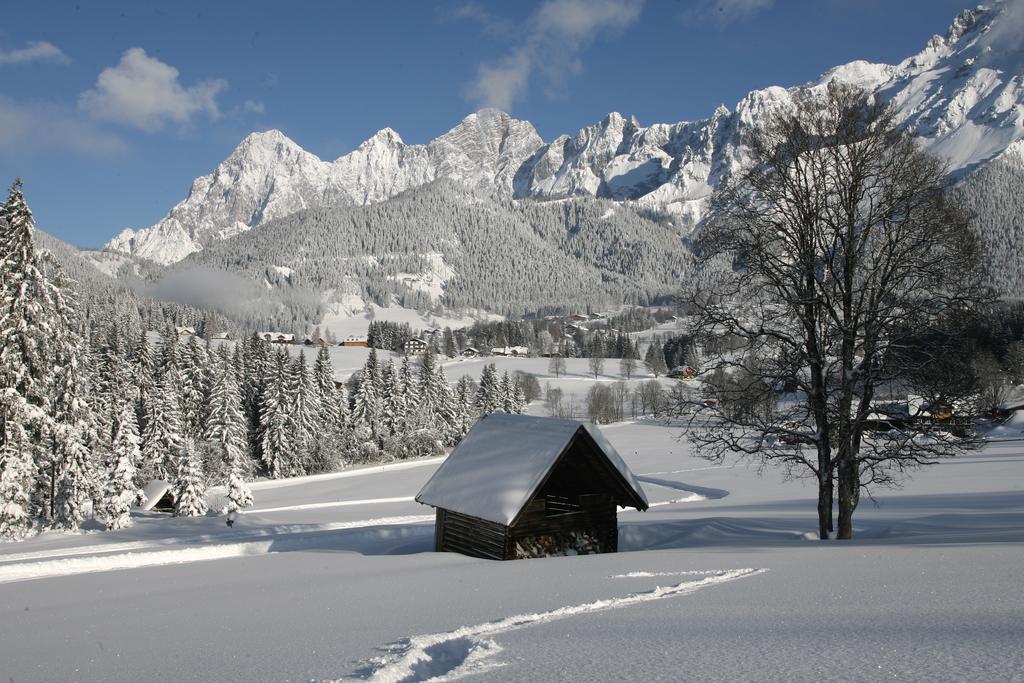 Pension Vorberghof- Bauernhofurlaub Ramsau am Dachstein Bagian luar foto